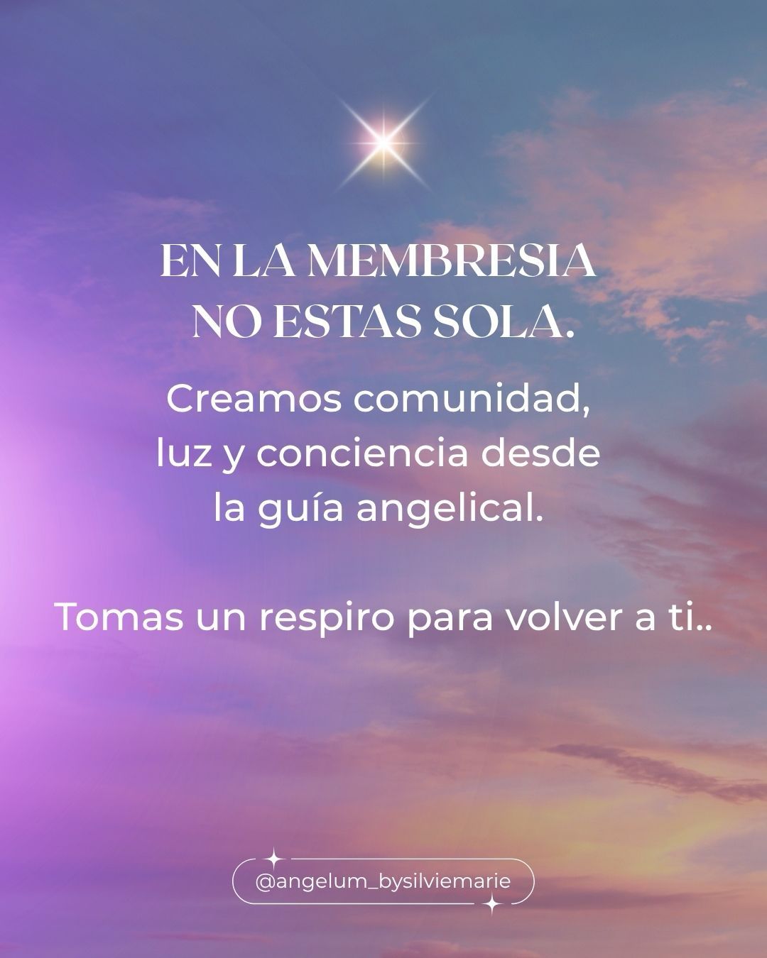 WhatsApp Image 2026-04-22 at 16.05.42 (2)